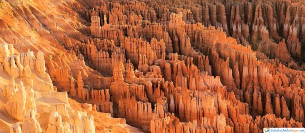 estados-unidos-cañon